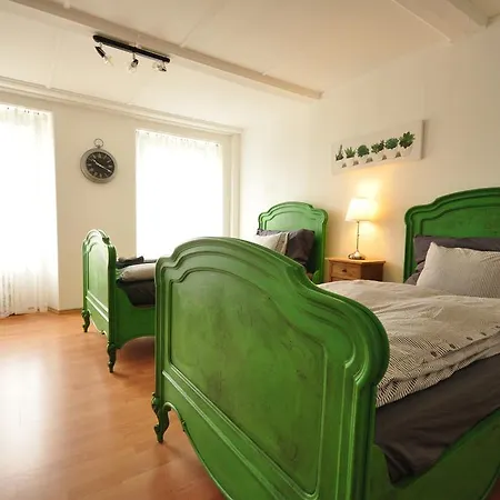 Interlaken Town House Sleeps 12 Guests Central Room photo